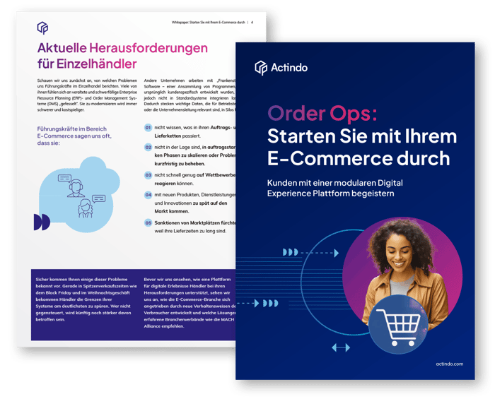 Preview-WP-Make-Your-E-Commerce-Run-DE-1